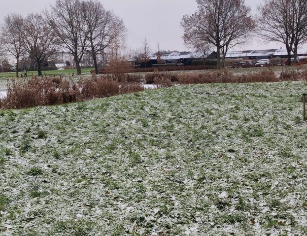 Mølleparken - Hul 01 - Vinter (1)