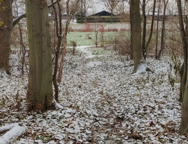 Mølleparken - Hul 01 - Vinter (4)