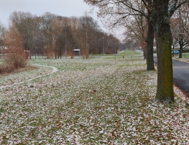 Mølleparken - Hul 02 - Vinter (2)