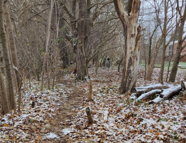 Mølleparken - Hul 06 - Vinter (3)