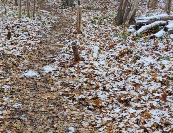 Mølleparken - Hul 06 - Vinter (4)