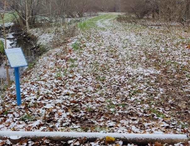 Mølleparken - Hul 08 - Vinter (1)