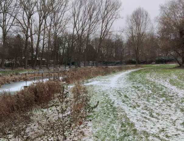 Mølleparken - Hul 08 - Vinter (3)