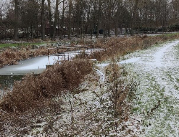 Mølleparken - Hul 08 - Vinter (4)