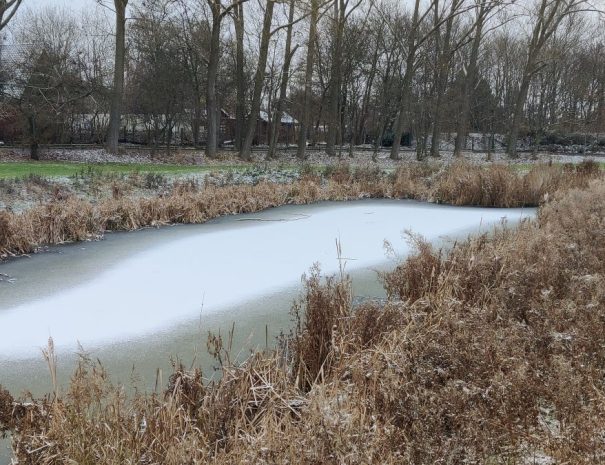 Mølleparken - Hul 08 - Vinter (5)