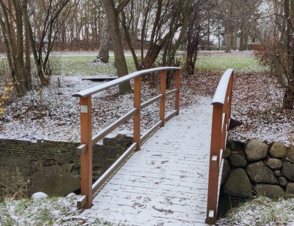 Mølleparken - Hul 09 - Vinter (1)