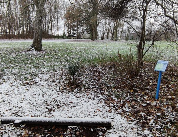 Mølleparken - Hul 09 - Vinter (3)