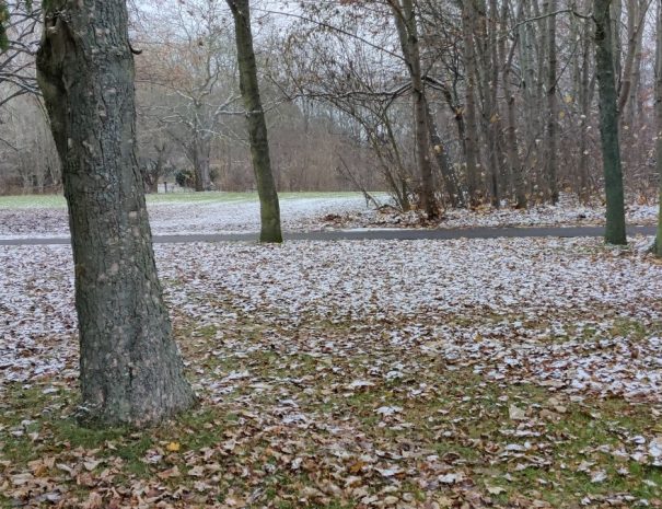 Mølleparken - Hul 10 - Vinter (3)