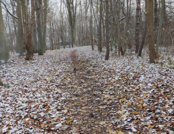 Mølleparken - Hul 12 - Vinter (4)