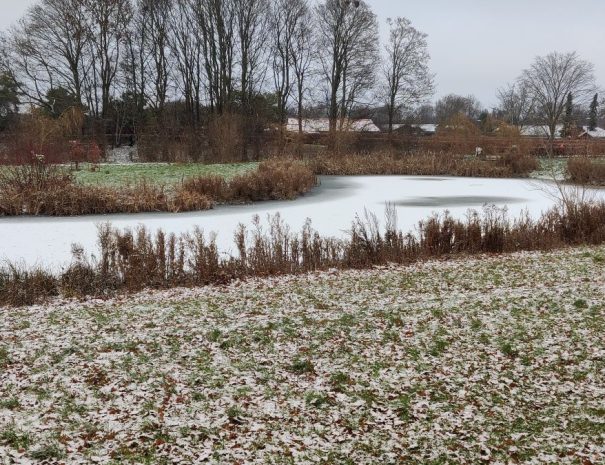 Mølleparken - Hul 13 - Vinter (1)