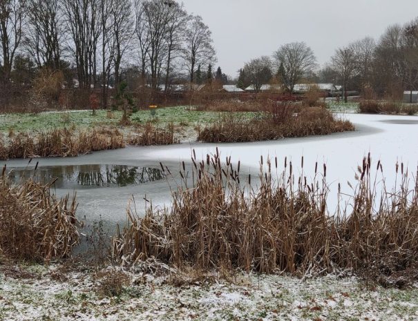 Mølleparken - Hul 13 - Vinter (2)